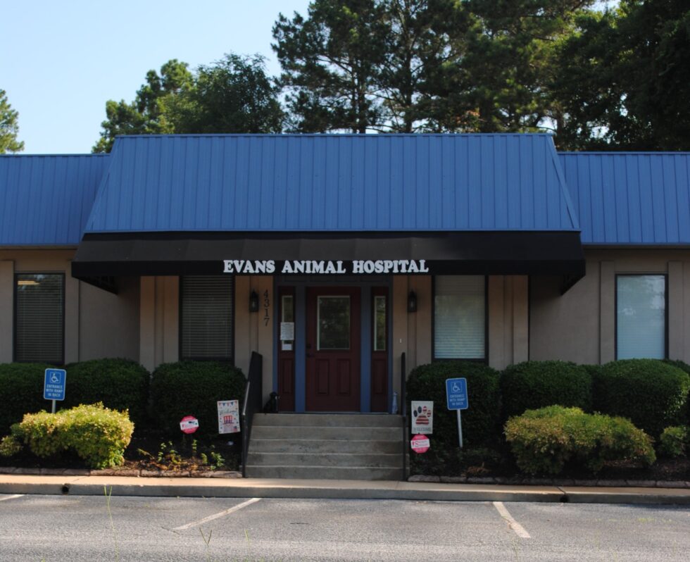 Evans, GA 30809 Veterinary Jobs Evans Animal Hospital