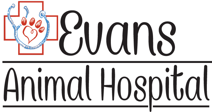 Evans Animal Hospital